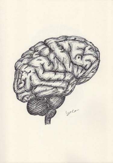 3D Brain Drawing