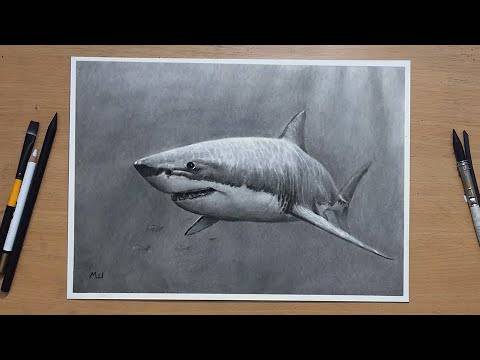 Badass Shark Drawing