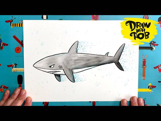 Blue Shark Drawing Easy