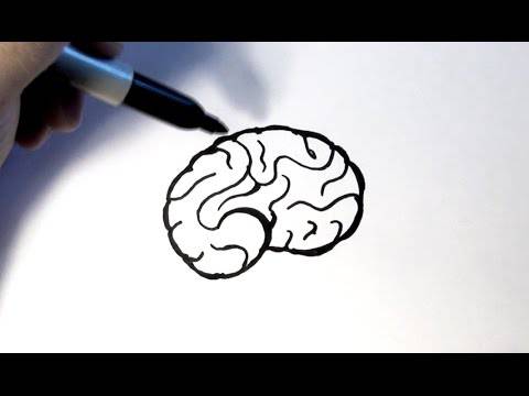 Brain Drawing Drawing