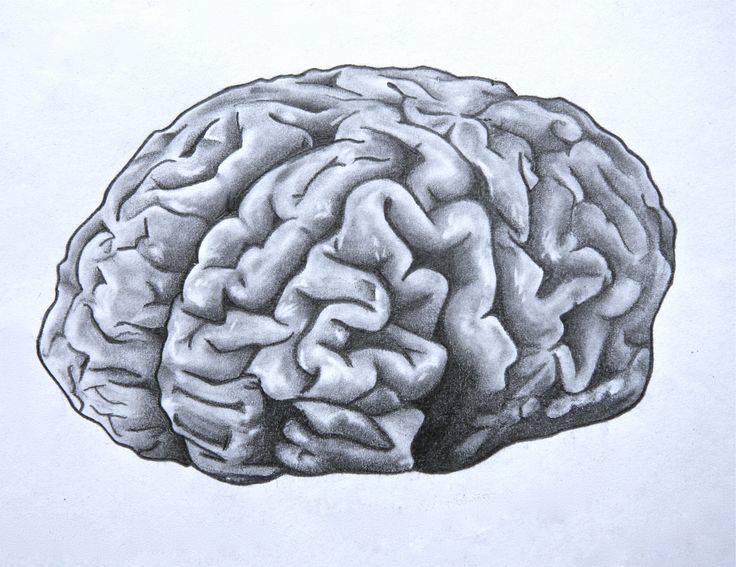 Brain Drawing Hard