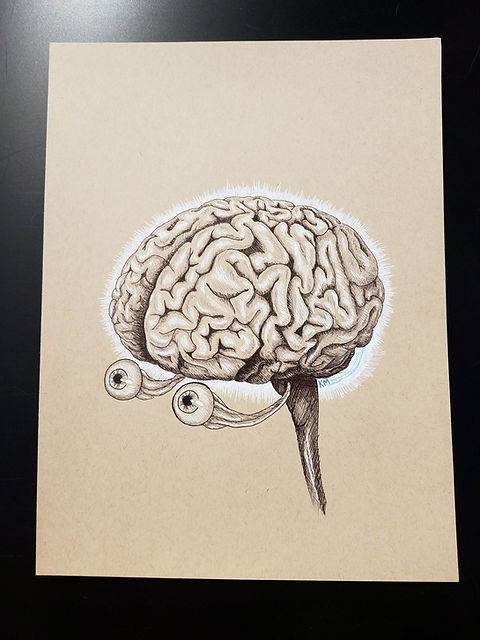 Brain Easy Sketch