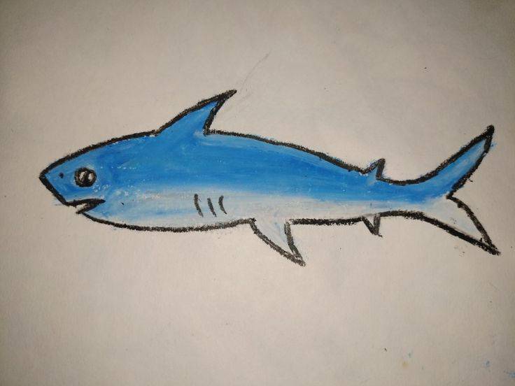 Chibi Shark Drawing