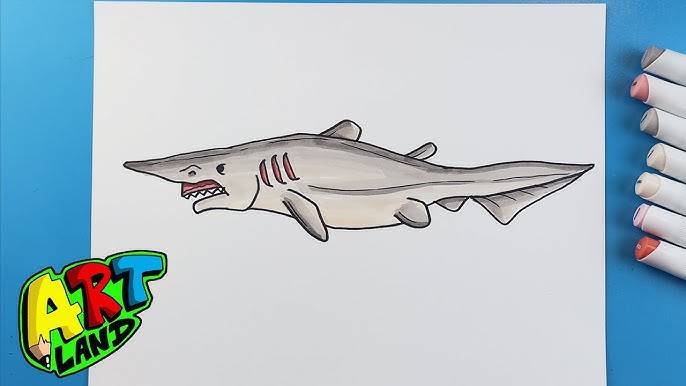 Cute Drawing Of Shark