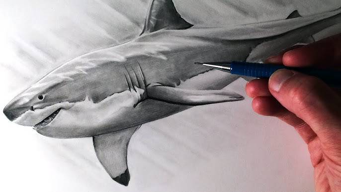 Draw A Shark Step By Step Easy