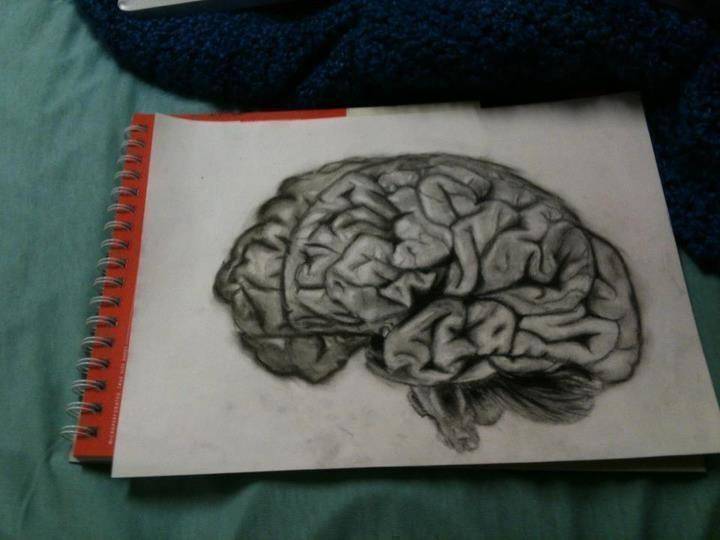 Draw And Label Brain