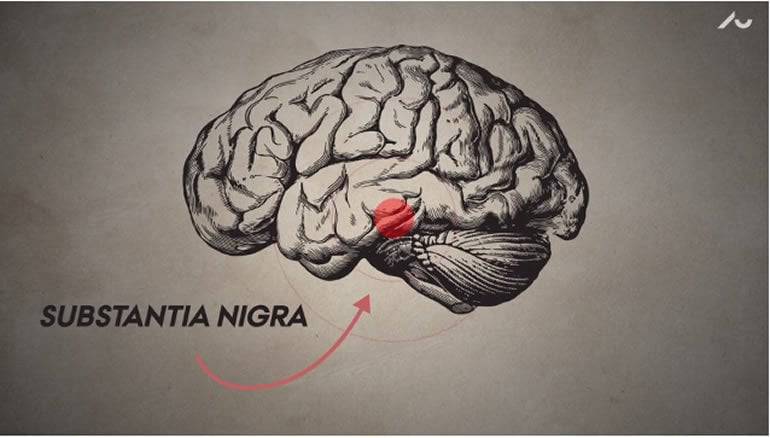 Drawing On The Right Side Of Your Brain