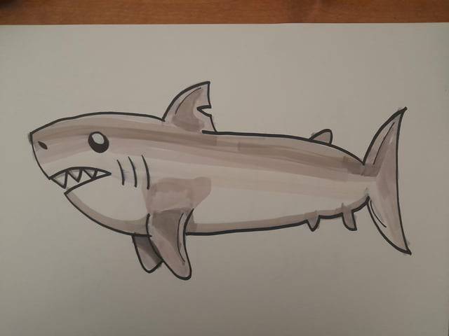 Great White Shark Drawing Easy