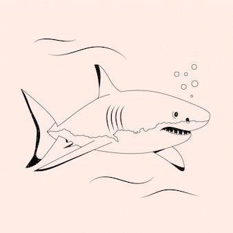 Hammer Head Shark Drawings