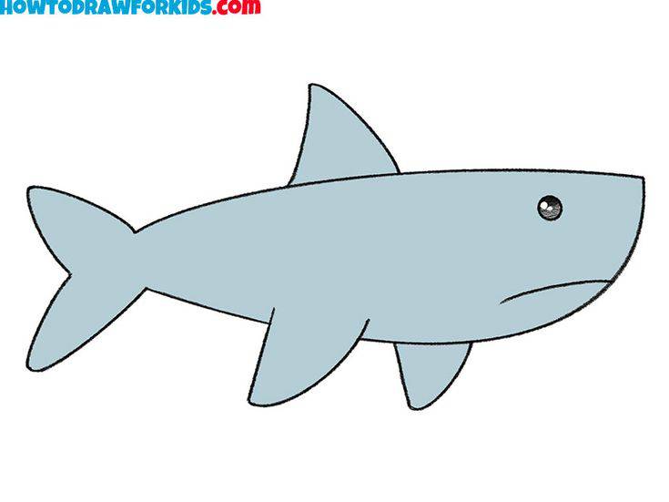 Line Drawing Of A Shark