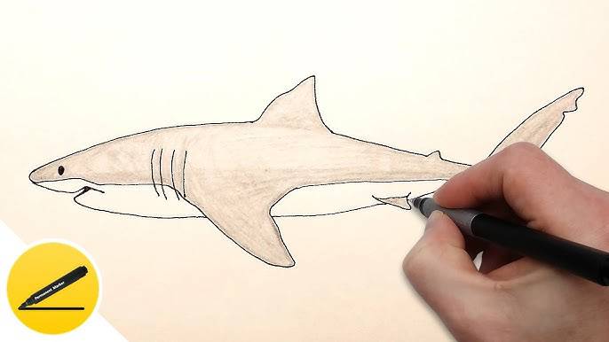 Pencil Megalodon Drawing