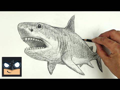 Shark Drawing Real