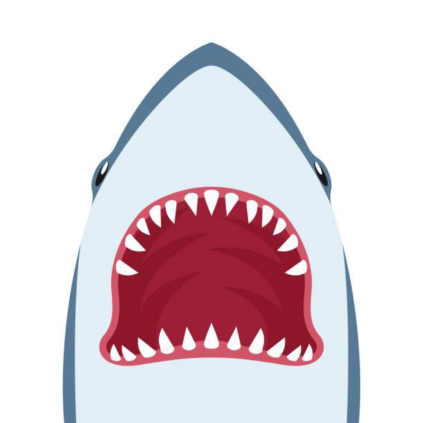 Shark Open Mouth Drawing