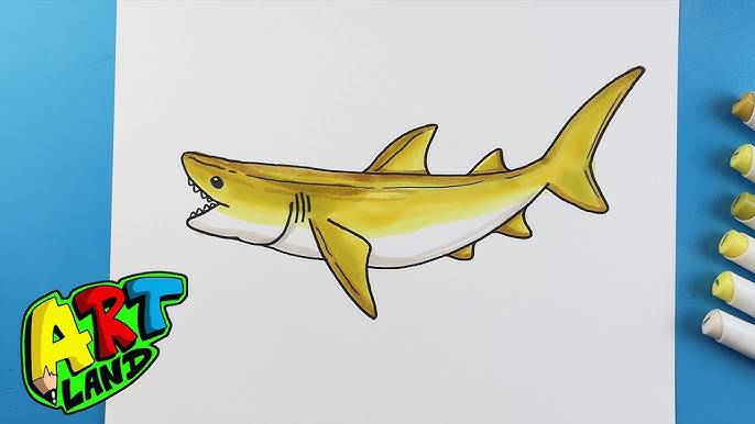 Shark Tail Drawing