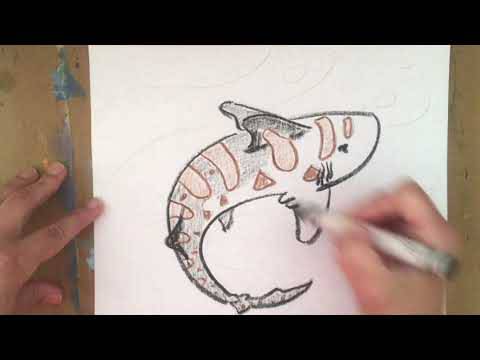 Whale Shark Drawing Cute